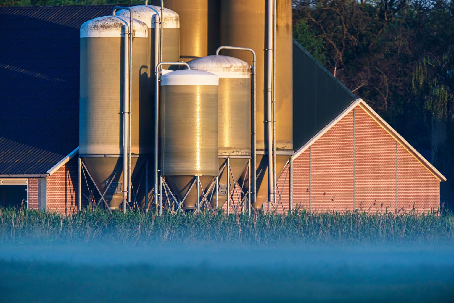 Tredecile Blog Continuous Level Sensors  for Farming Silos