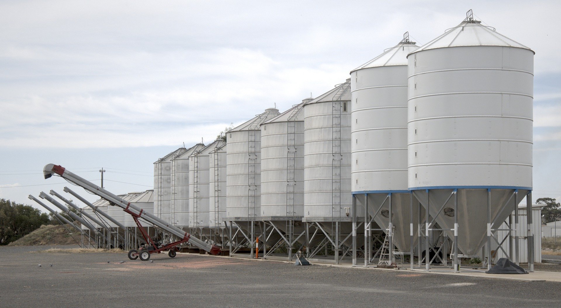 Tredecile Blog Silo monitoring: Grain, animal feed and more