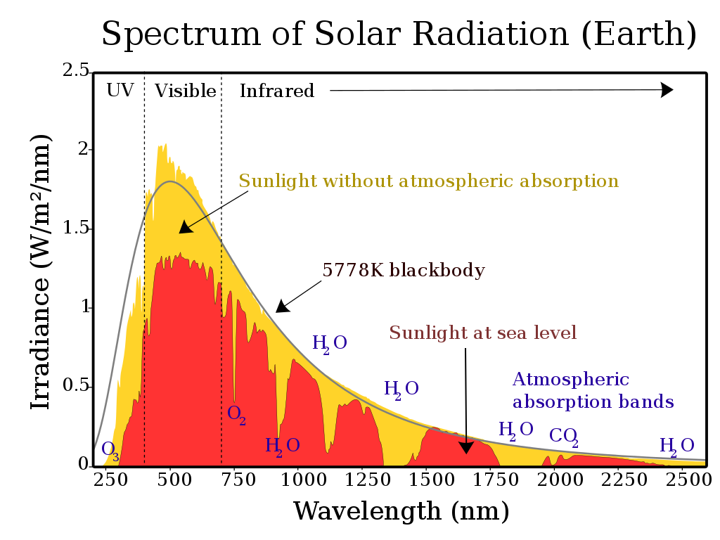 optical sensor array